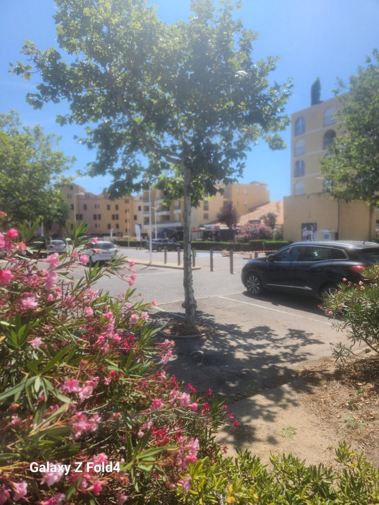 Grand Studio Cabine Proche Plage Et Port Gruissan Εξωτερικό φωτογραφία
